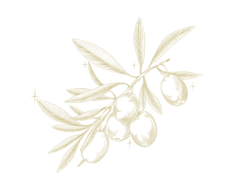 Ulje Ramov - prerada maslina, proizvodnja i prodaja maslinovog ulja